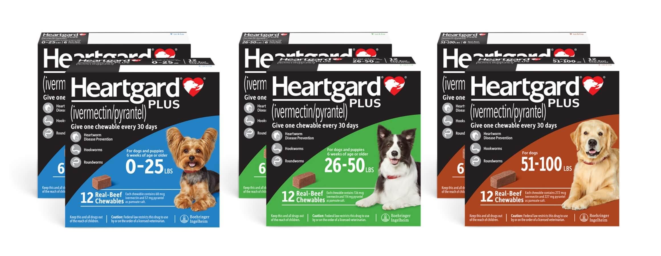 HEARTGARD Plus ivermectin pyrantel Canine Heartworm Preventive